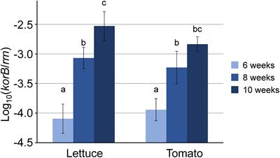 Plant Species-Dependent Increased Abundance and Diversity of IncP-1 Plasmids in the Rhizosphere: New Insights Into Their Role and Ecology